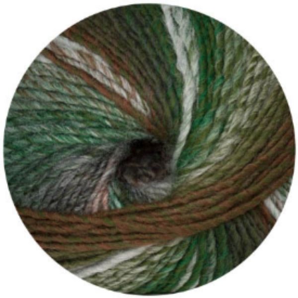 ONline Linie 359 Fano