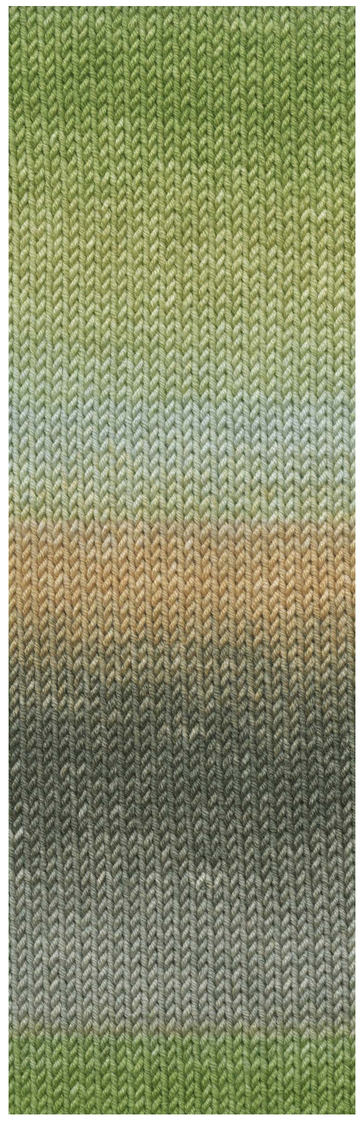 Lang Yarns Merino 120 Dégradé superwash