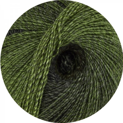 ONline Linie 460 Bazar
