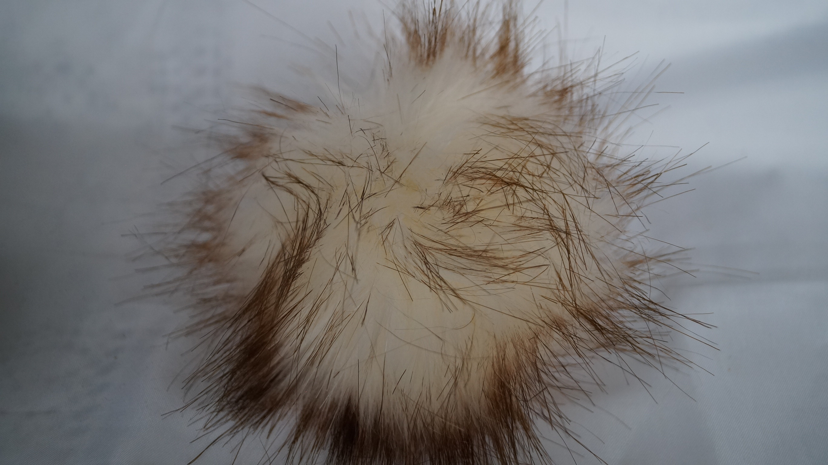 Pompon Farbe 210